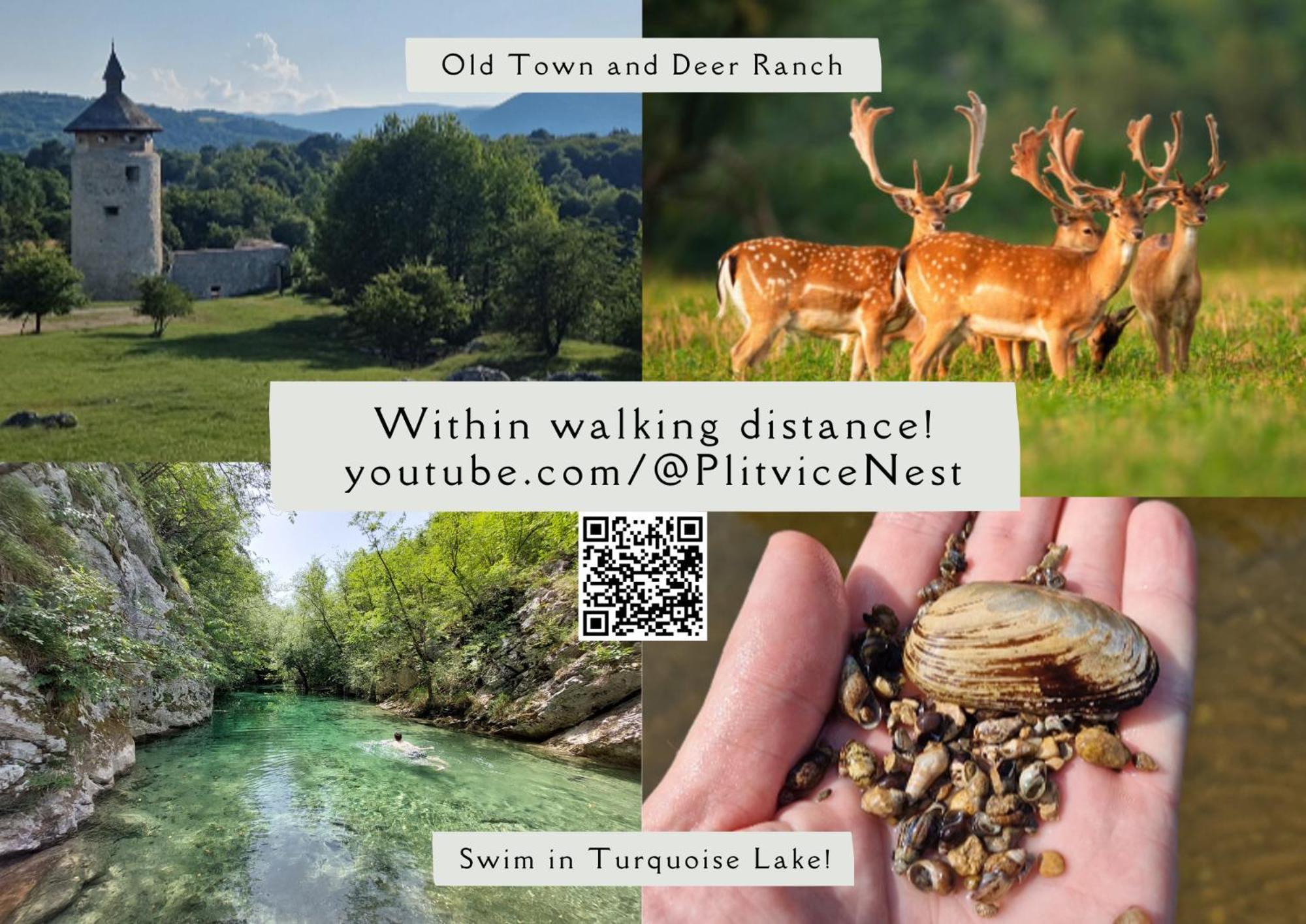 Apartament Plitvice Nest 2 Rakovica Zewnętrze zdjęcie